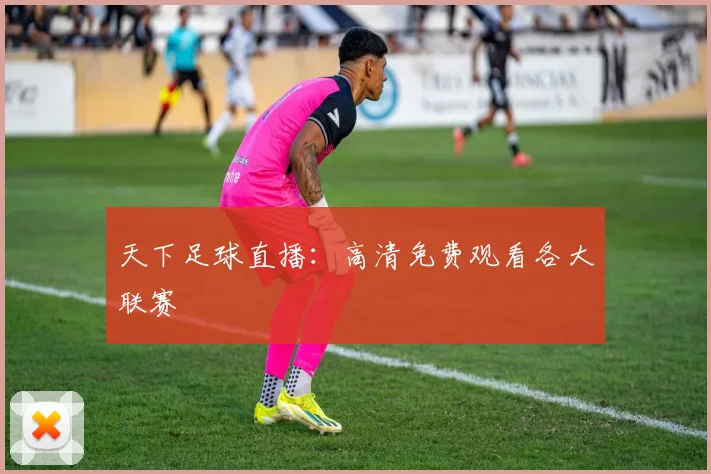 天下足球直播:高清免费观看各大联赛