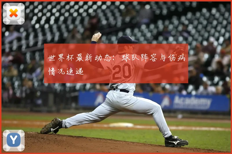 世界杯最新动态：球队阵容与伤病情况速递